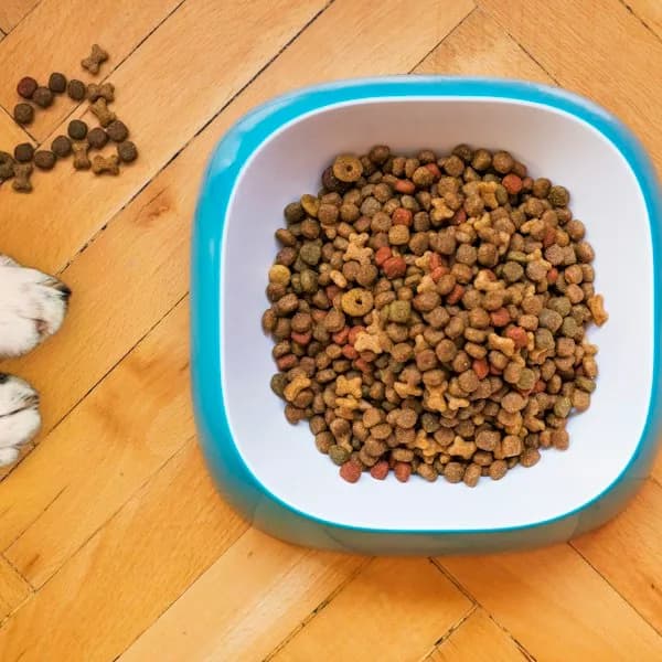 Drools Bone Broth Meal Topper